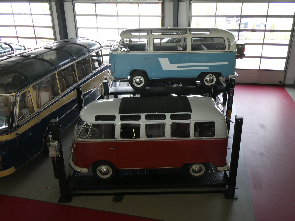 (261'400) - VW-Busse - LAN-KA 71H + DGF-X 67H - am 14. April 2024 in Pilsting, Auw�rter Automobil-Park