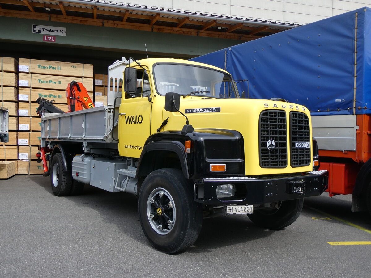 (261'904) - Walo Bertschinger - ZH 414'821 - Saurer am 4. Mai 2024 in Attikon, Wegm�ller 