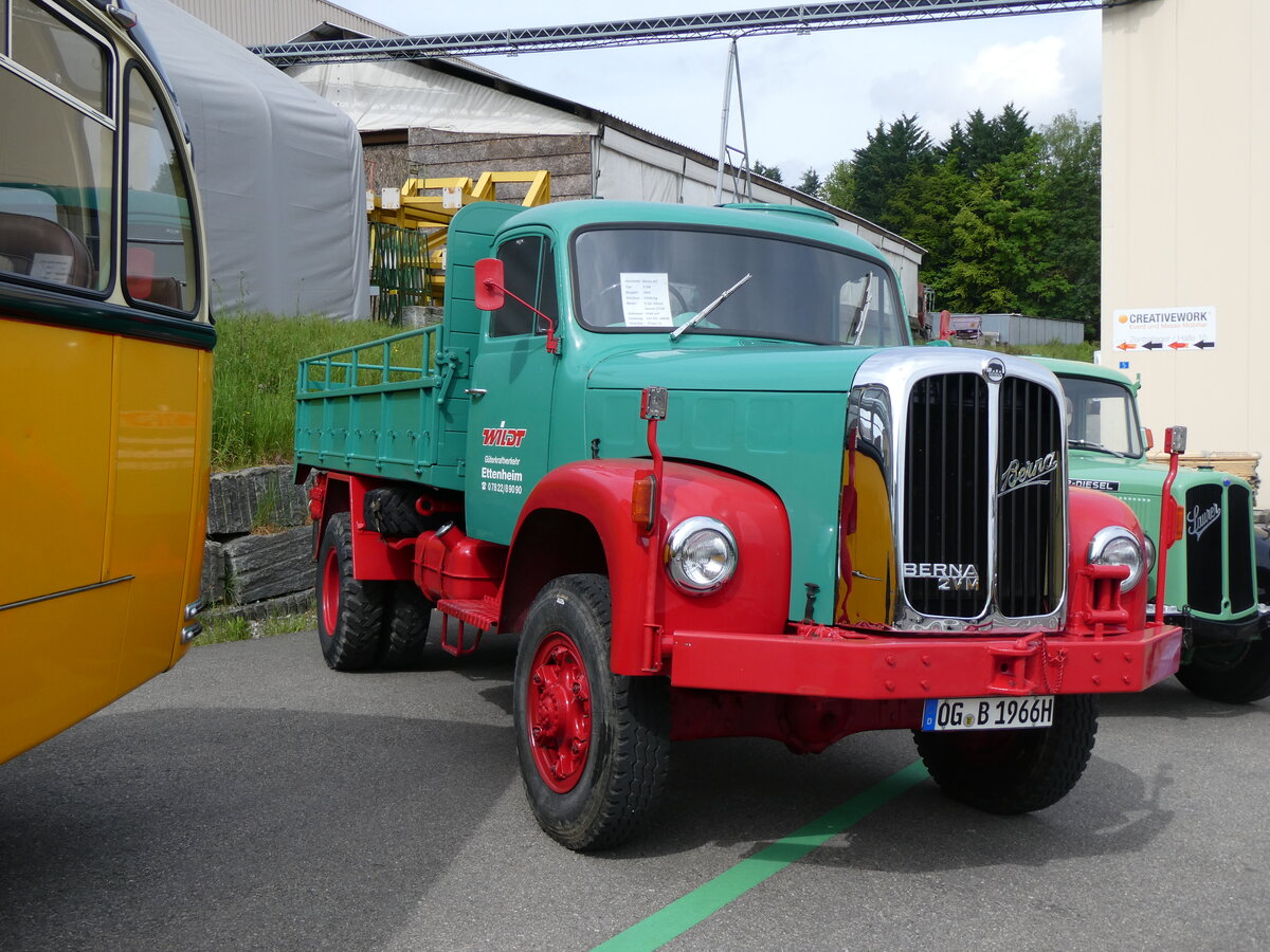 (262'036) - Wildt, Ettenheim - OG-B 1966H - Berna am 4. Mai 2024 in Attikon, Wegm�ller
