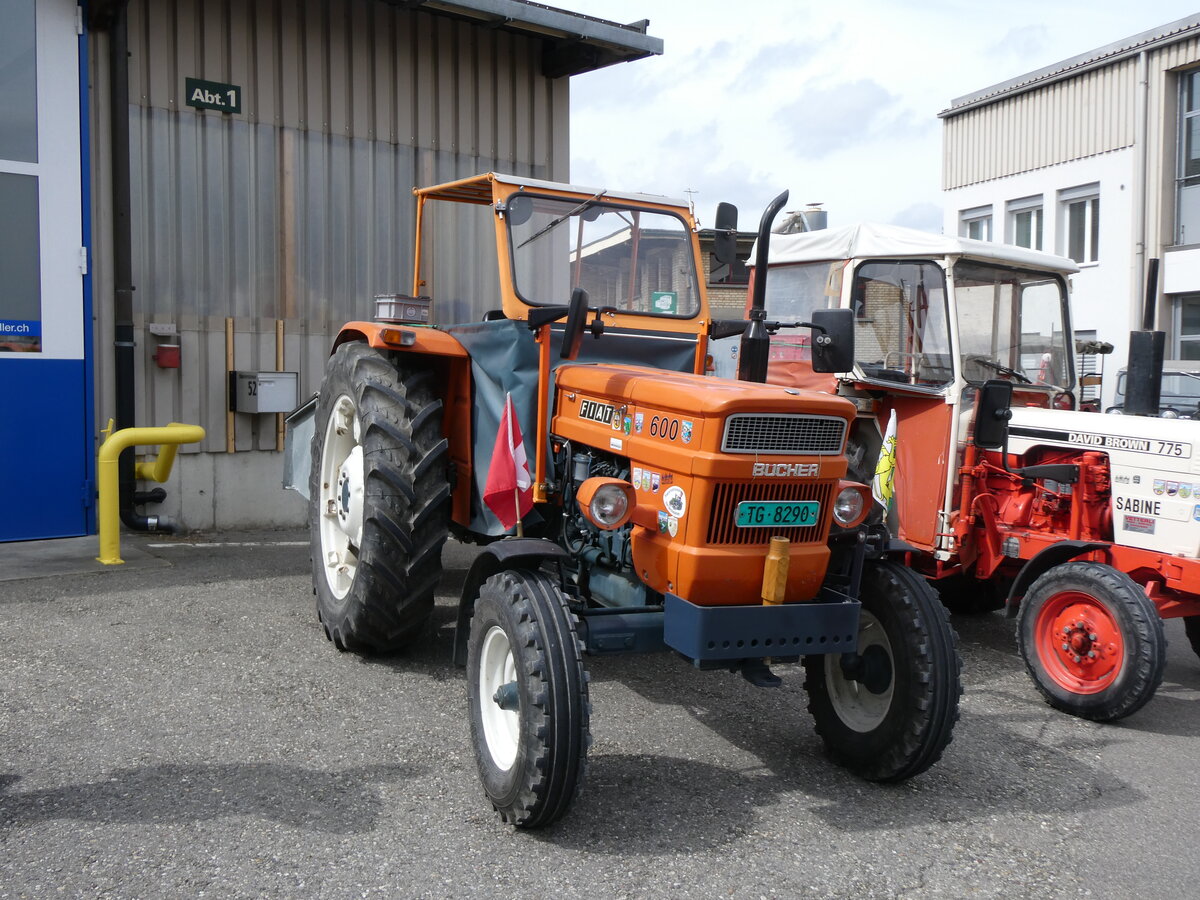 (262'045) - Fiat - TG 8290 - am 4. Mai 2024 in Attikon, Wegm�ller