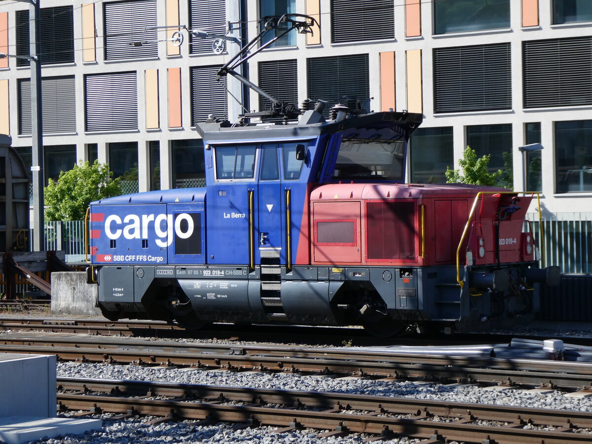 (262'264) - SBB-Rangierlokomotive - Nr. 923'019-4 - am 11. Mai 2024 im Bahnhof Thun