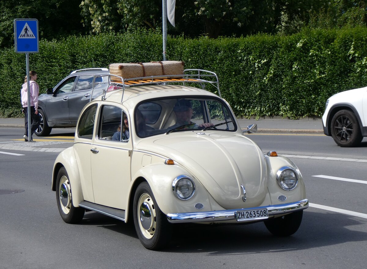 (262'612) - VW-K�fer - ZH 263'608 - am 18. Mai 2024 in Sarnen, OiO