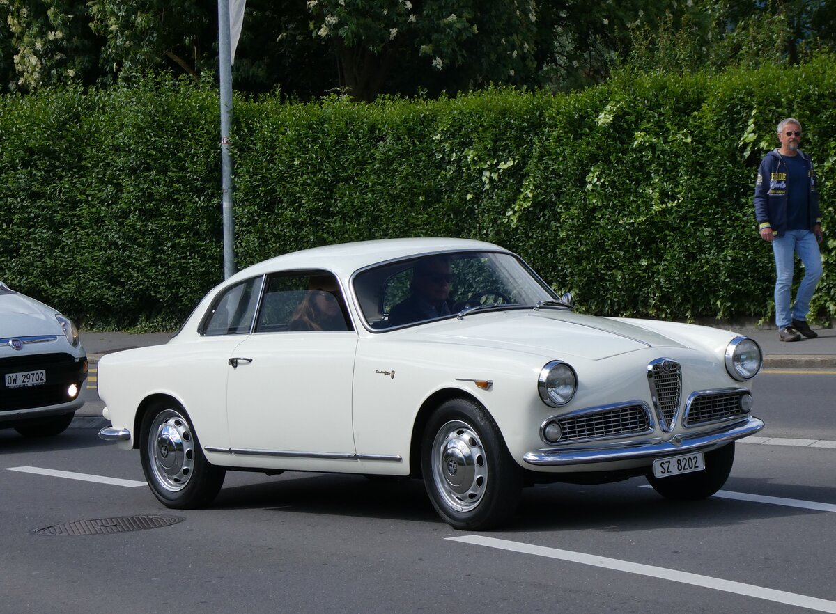 (262'615) - Alfa Romeo - SZ 8202 - am 18. Mai 2024 in Sarnen, OiO