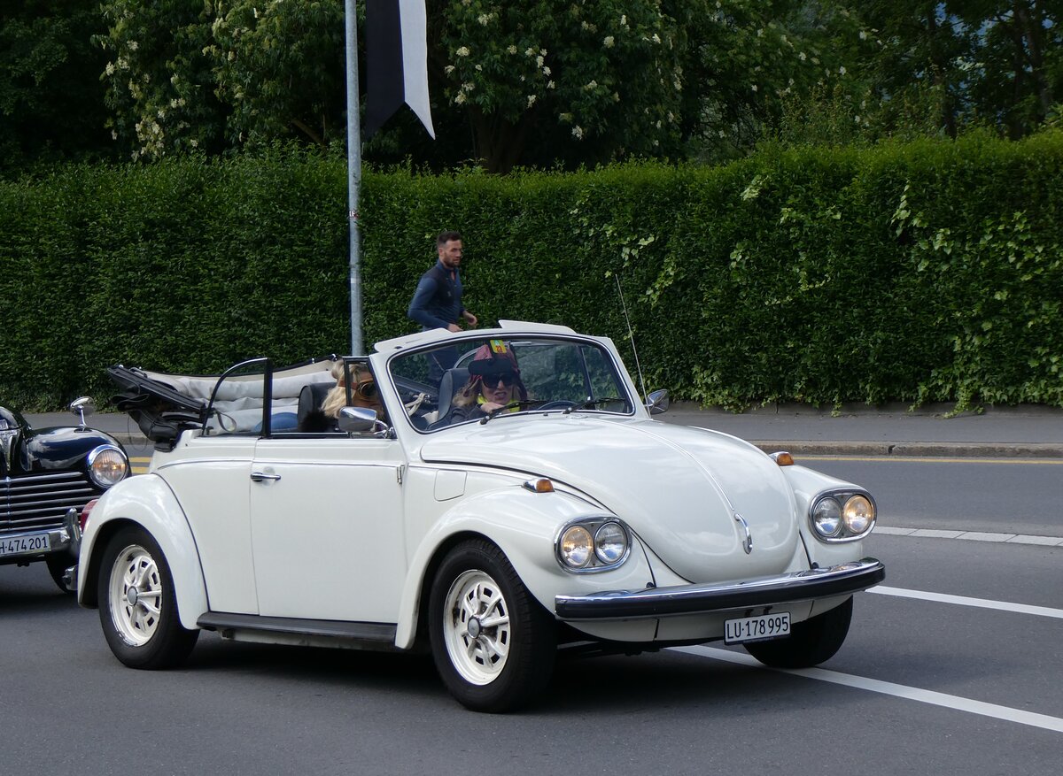 (262'629) - VW-K�fer - LU 178'995 - am 18. Mai 2024 in Sarnen, OiO