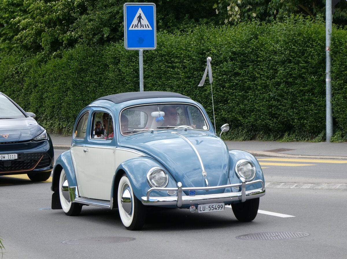 (262'672) - VW-K�fer - LU 55'499 - am 18. Mai 2024 in Sarnen, OiO