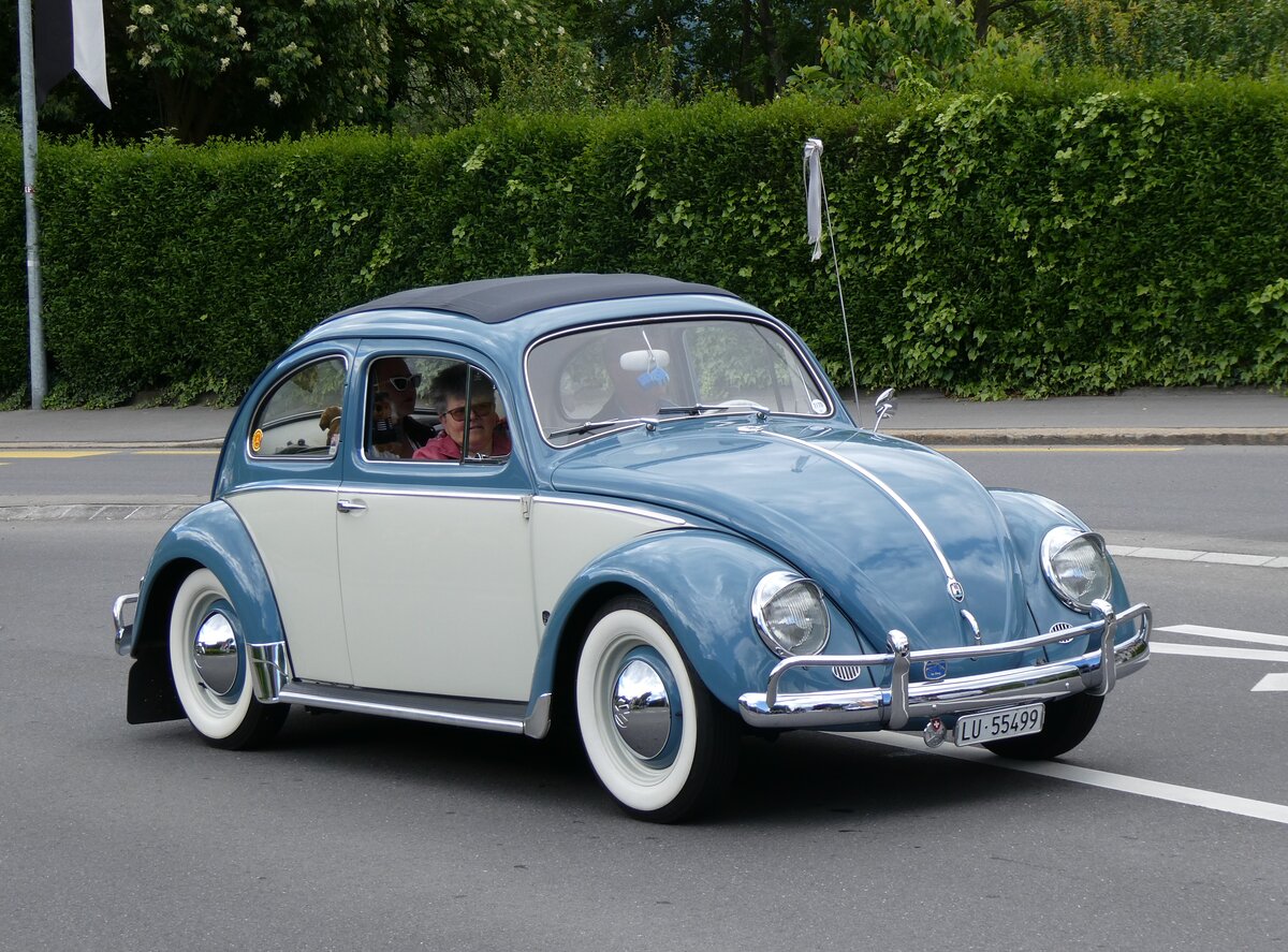(262'673) - VW-K�fer - LU 55'499 - am 18. Mai 2024 in Sarnen, OiO