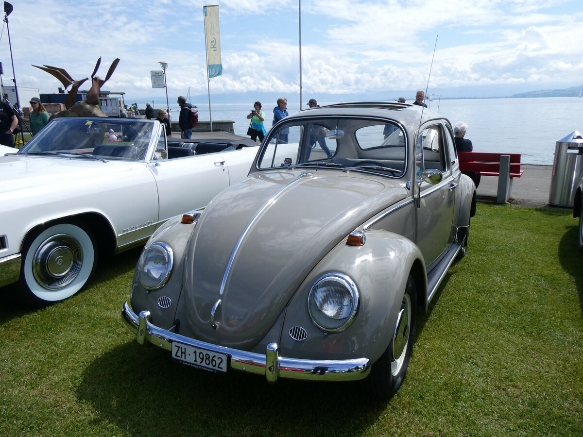 (263'002) - VW-K�fer - ZH 19'862 - am 25. Mai 2024 in Arbon, Arbon Classics