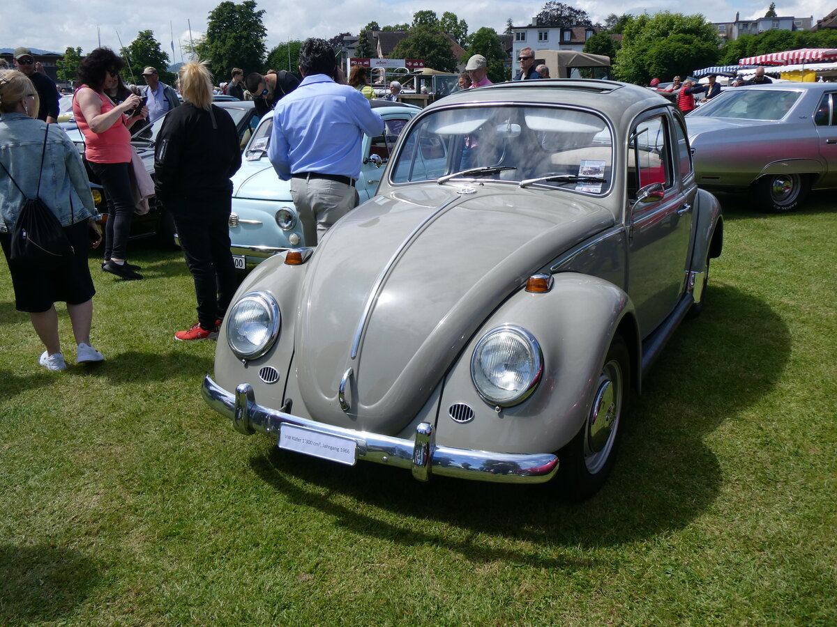 (263'062) - VW-K�fer am 25. Mai 2024 in Arbon, Arbon Classics
