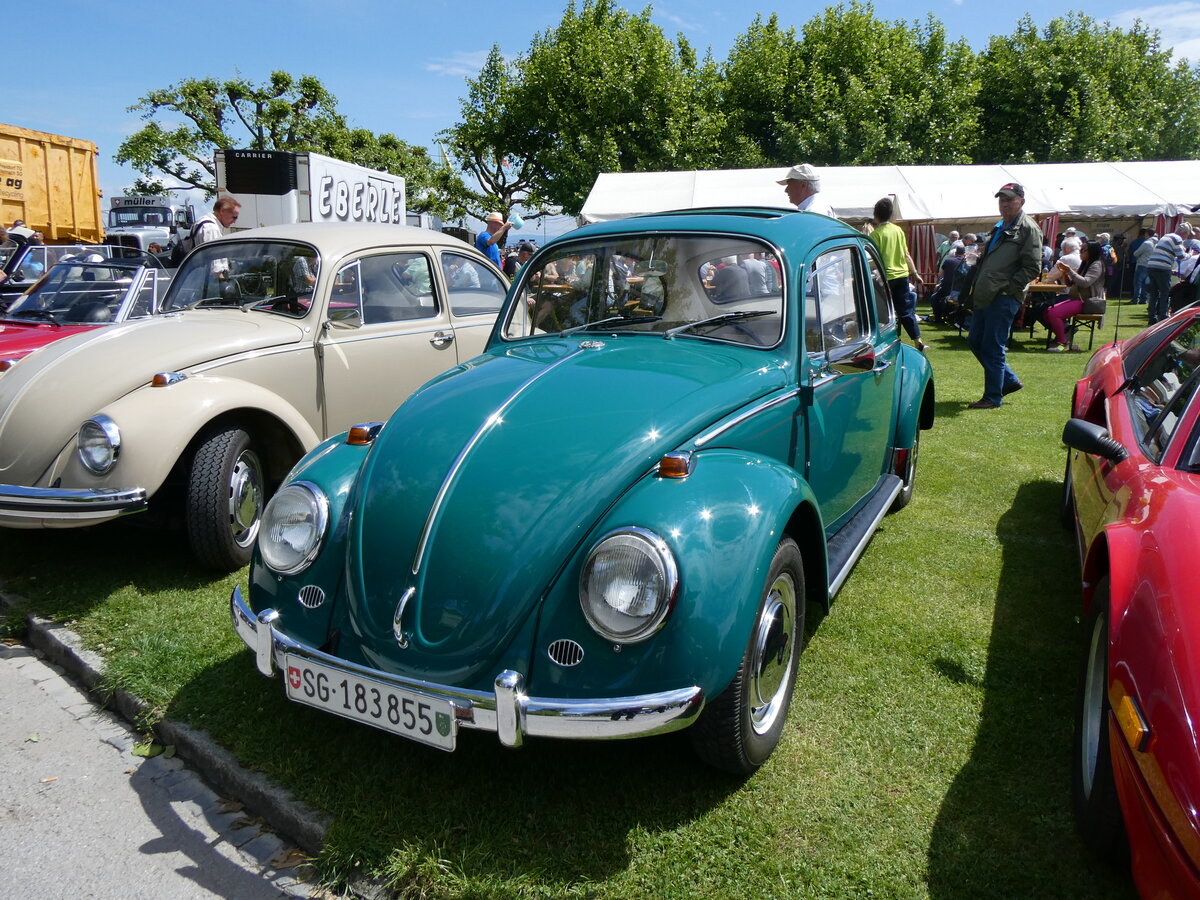(263'084) - VW-K�fer - SG 183'855 - am 25. Mai 2024 in Arbon, Arbon Classics