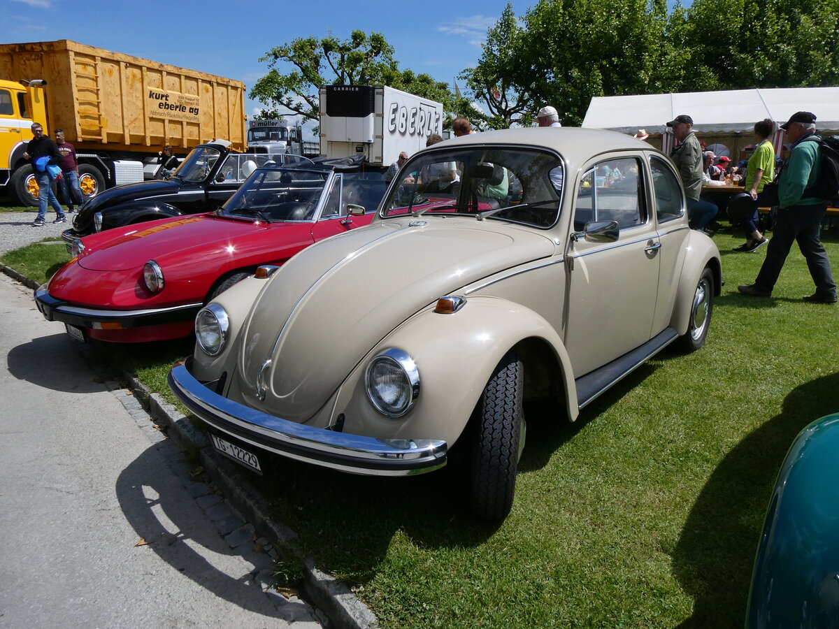 (263'085) - VW-K�fer - TG 12'229 - am 25. Mai 2024 in Arbon, Arbon Classics