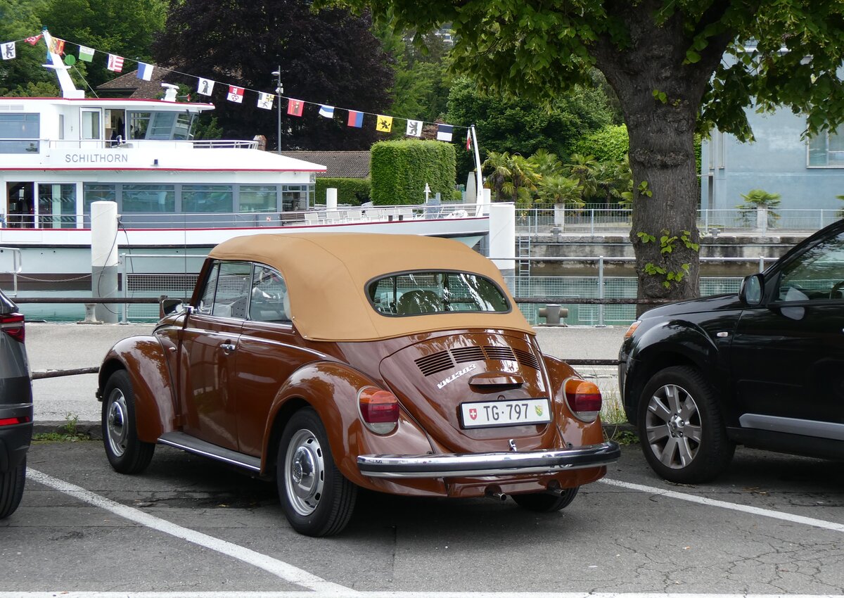 (263'450) - VW-K�fer - TG 797 - am 8. Juni 2024 in Thun, Rosenau