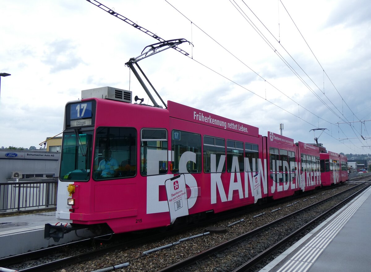 (263'477) - BLT-Tram - Nr. 215 - am 8. Juni 2024 bei der Haltestelle Oberwil, H�slimatt