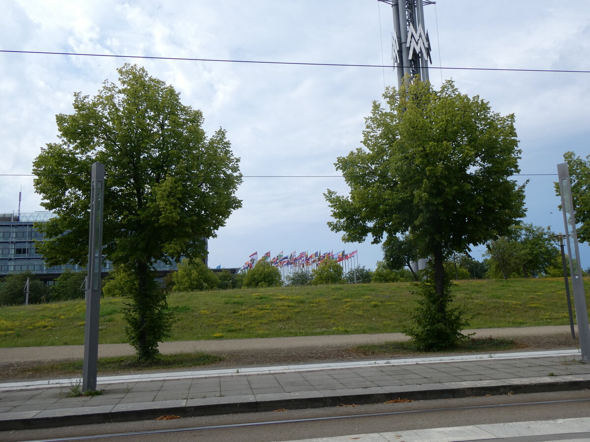 (264'554) - Fahnenmeer zwischen zwei B�umen beim Messegel�nde am 10. Juli 2024 in Leipzig