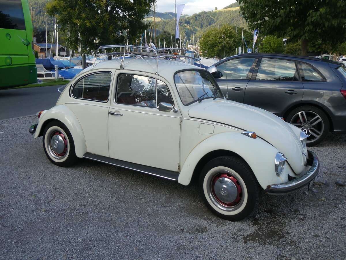 (264'793) - VW-K�fer - BE 871'540 - am 13. Juli 2024 in Thun, Strandbad