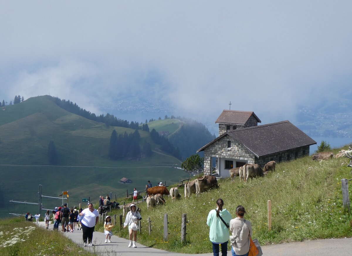 (264'959) - Bergkapelle Rigi Kulm am 23. Juli 2024 auf der Rigi
