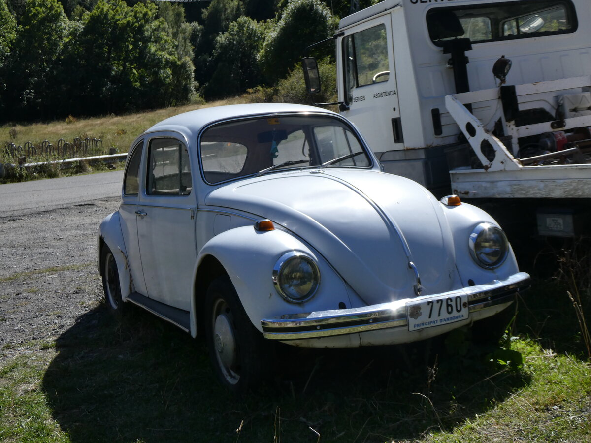 (267'114) - VW-K�fer - 7760 - am 17. September 2024 in Os de Civis