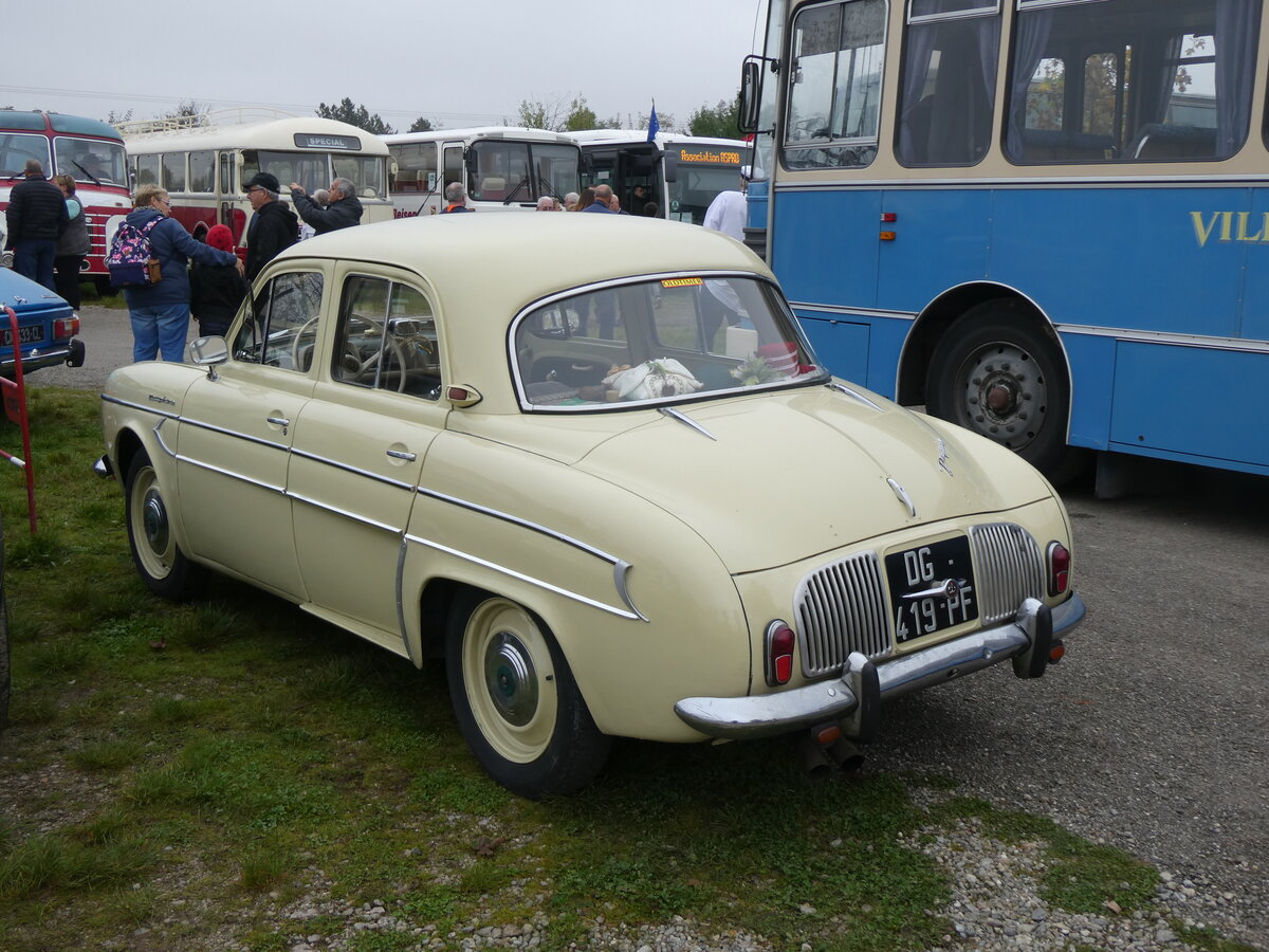 (268'580) - Renault - DG 419 PF - am 26. Oktober 2024 in Kintzheim, Cigoland