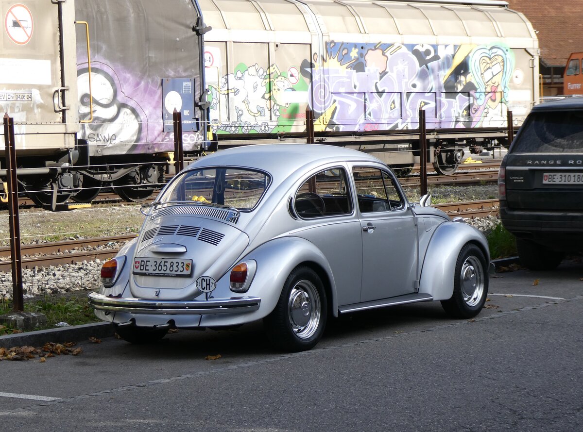 (268'934) - VW-K�fer - BE 365'833 - am 3. November 2024 in Thun, Kasernenstrasse