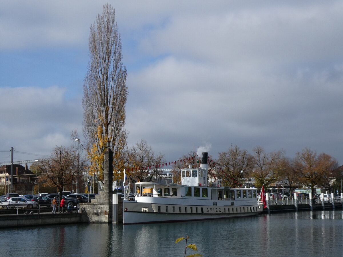 (268'941) - Dampfschiff Spiez am 3. November 2024 an der Schiffl�ndte Thun
