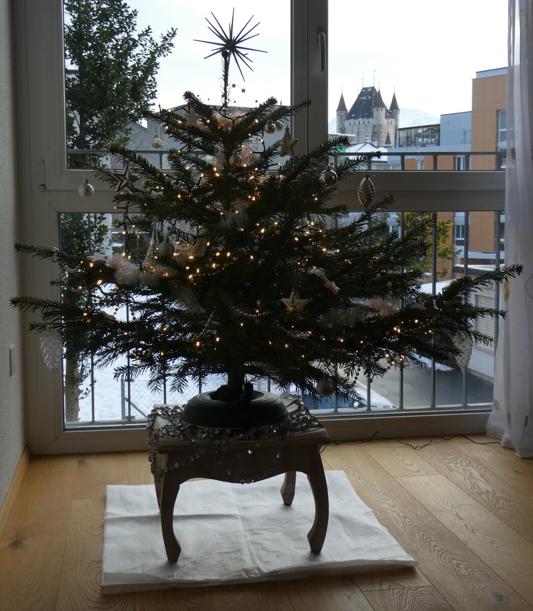 (270'169) - Weihnachtsbaum am 24. Dezember 2024 in Steffisburg