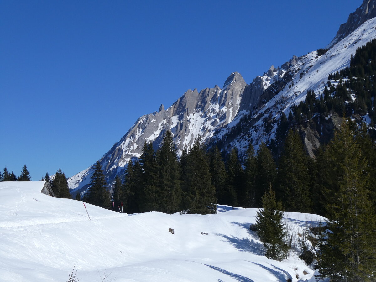 (272'591) - Engelh�rner am 2. M�rz 2025 von der Grossen Scheidegg aus