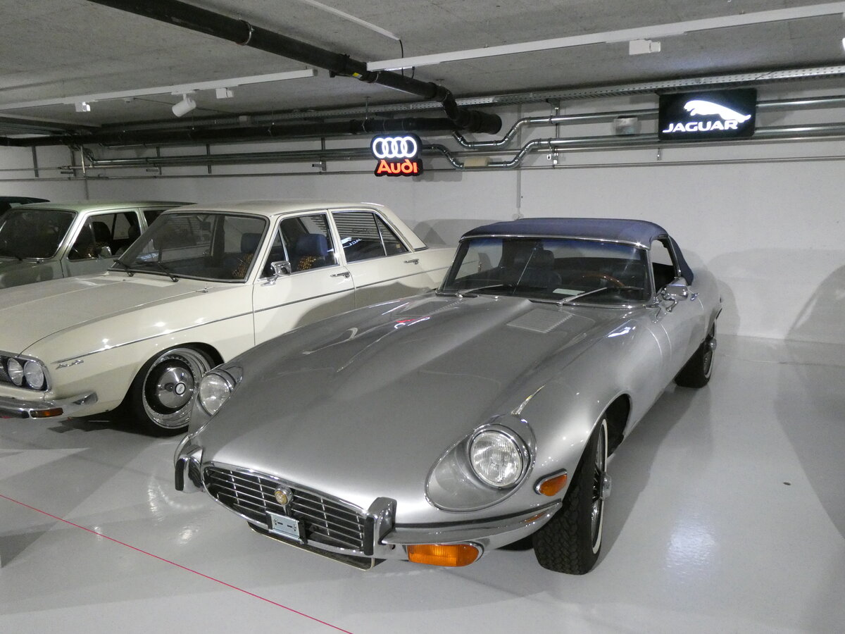 (272'982) - Jaguar am 15. M�rz 2025 in Derendingen, Enter