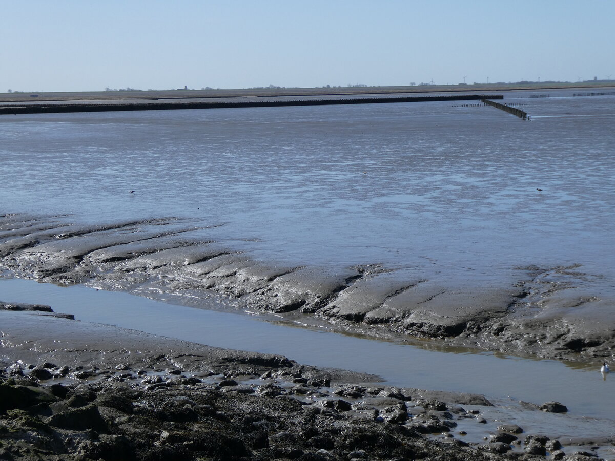 (273'650) - Stimmung auf dem Wattenmeer am 5. April 2025 im Hafen von Holwerd