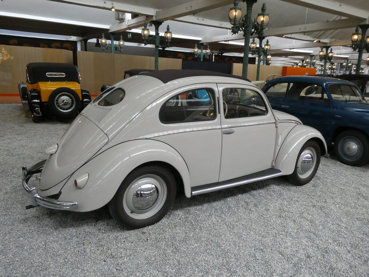 (274'777) - VW-K�fer am 6. Mai 2025 in Mulhouse, Collection Schlumpf