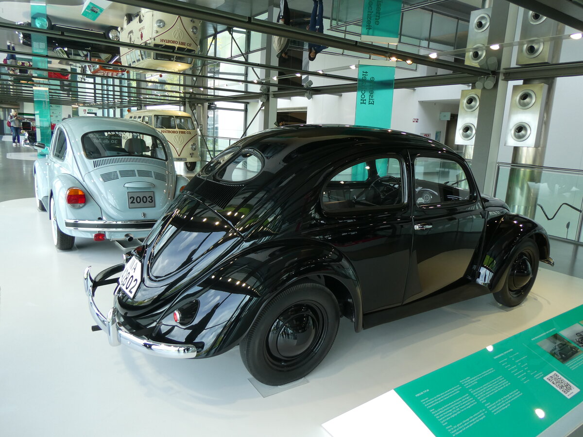 (274'899) - VW-K�fer - IIIA 42'802 - am 7. Mai 2025 in Wolfsburg, Autostadt