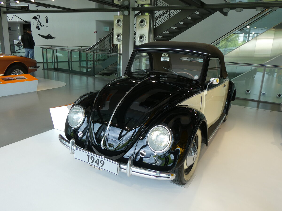 (274'950) - VW-K�fer - Jahrgang 1949 - am 7. Mai 2025 in Wolfsburg, Autostadt
