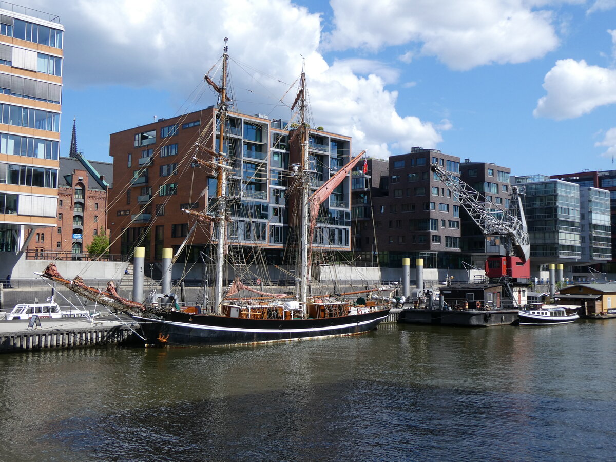 (275'061) - Segelschiff auf der Elbe am 8. Mai 2025 in Hamburg