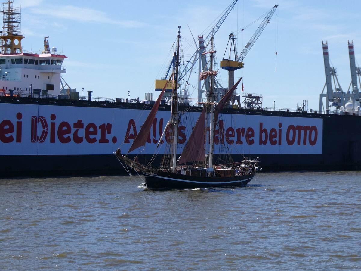 (275'304) - 836. Hafengeburtstag mit Schiffsparade am 9. Mai 2025 auf der Elbe in Hamburg