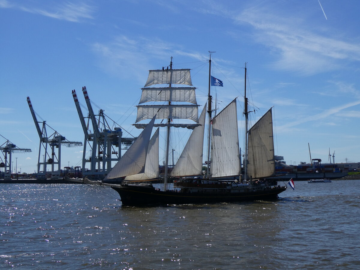 (275'308) - 836. Hafengeburtstag mit Schiffsparade am 9. Mai 2025 auf der Elbe in Hamburg