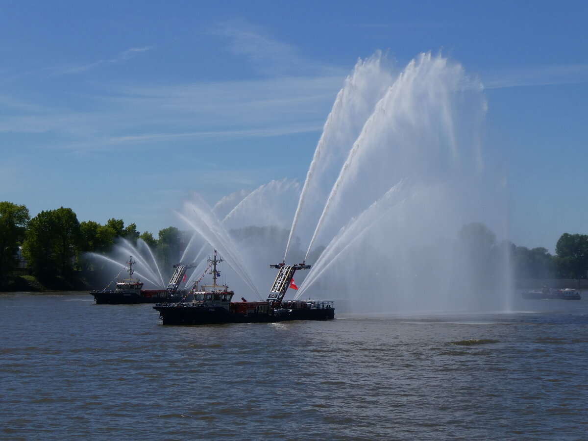 (275'327) - 836. Hafengeburtstag mit Schiffsparade am 9. Mai 2025 auf der Elbe in Hamburg