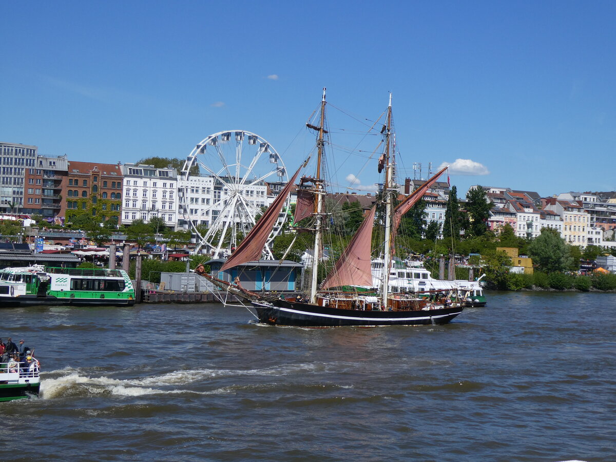 (275'332) - 836. Hafengeburtstag mit Schiffsparade am 9. Mai 2025 auf der Elbe in Hamburg