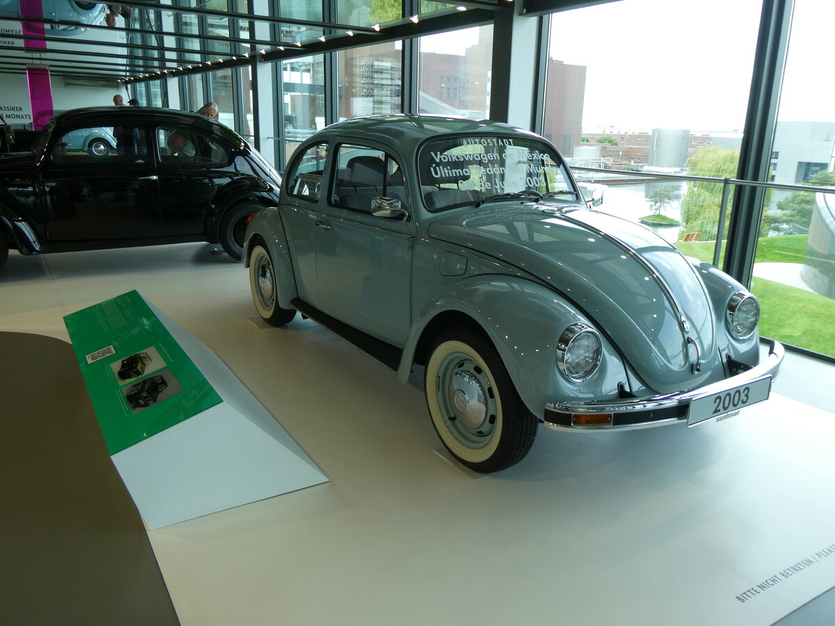 (275'885) - VW-K�fer - Jahrgang 2003 - am 7. Mai 2025 in Wolfsburg, Autostadt