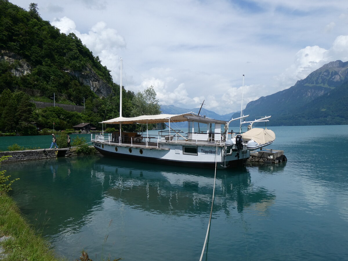 (276'194) - Motorschiff T�ggelibock am 1. Juni 2025 auf dem Brienzersee bei Interlaken