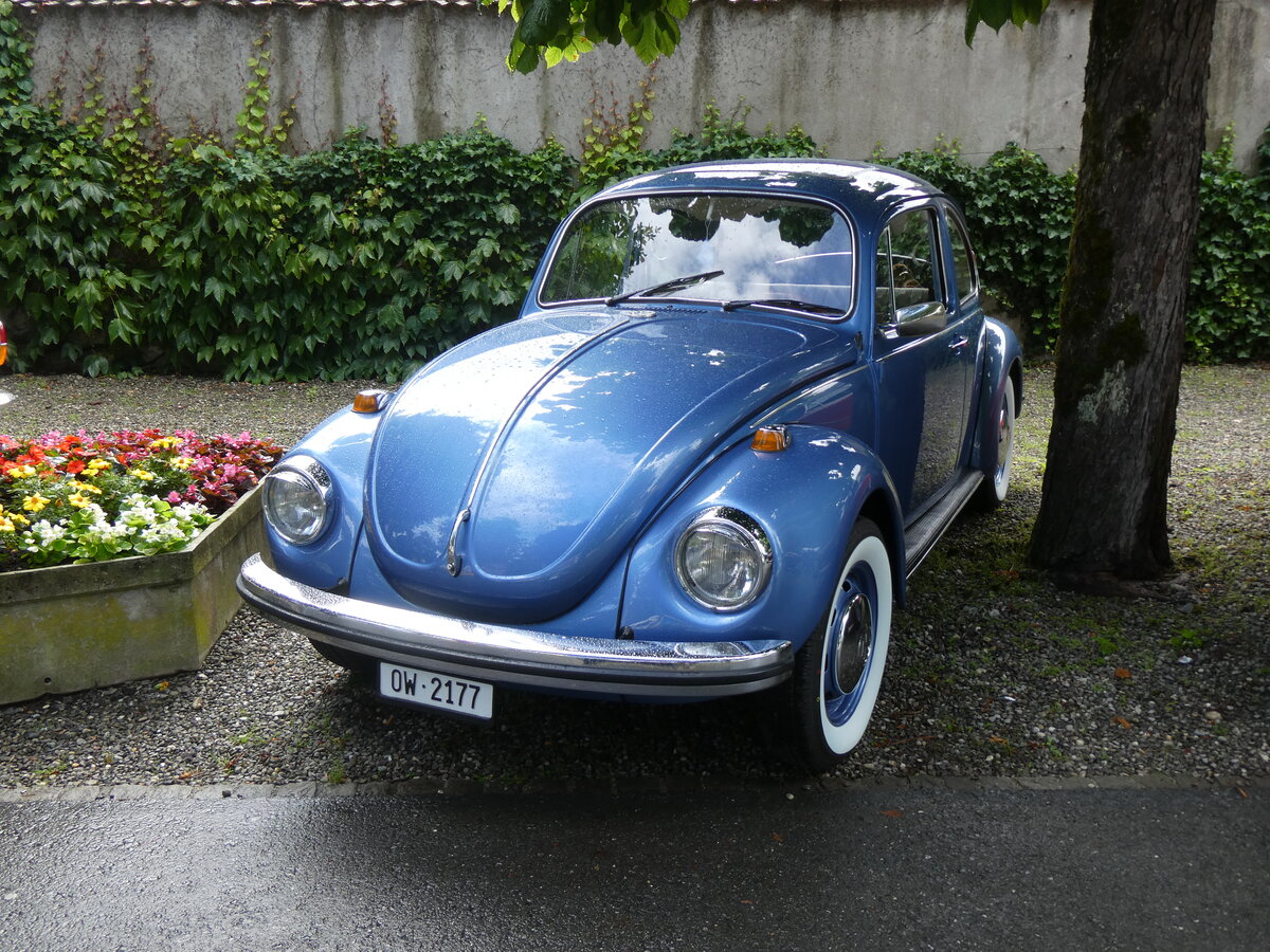 (276'384) - VW-K�fer - OW 2177 - am 7. Juni 2025 in Sarnen, OiO