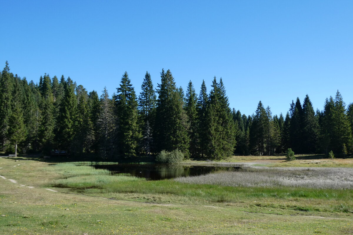 (280'517) - Wald und Seelein auf der Wildmoosalm am 18. September 2025 bei Seefeld