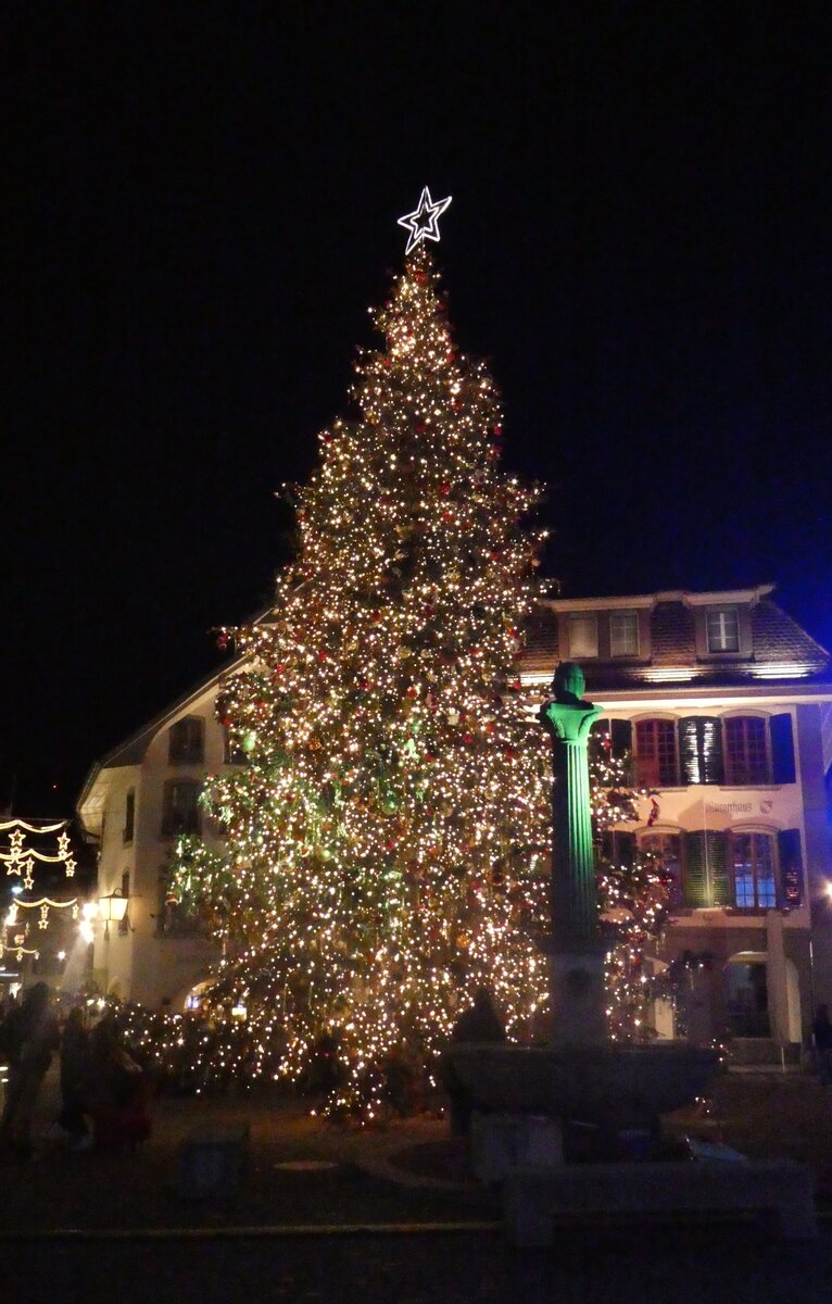 (282'395) - Weihnachtsbaum am 14. November 2025 auf dem Thuner Rathausplatz