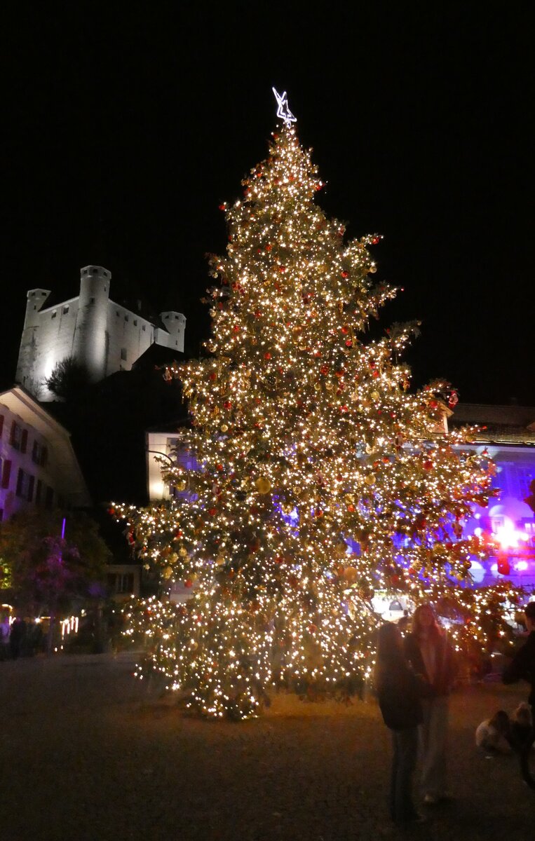(282'396) - Weihnachtsbaum am 14. November 2025 auf dem Thuner Rathausplatz