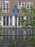 (171'031) - Kunst:  Spatzen sind Spitze!  am 19.