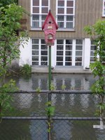 (171'032) - Kunst:  Willkommen zur PICKSHOW  am 19.