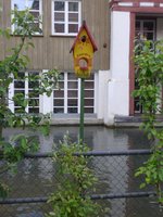 (171'033) - Kunst:  Katzenkino  am 19.