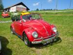 (129'262) - VW-K�fer - JU 8695 - am 4.