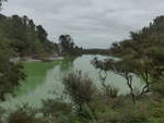 (191'155) - See und B�ume im Wai-O-Tapu Thermal Wonderland am 23.