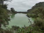 (191'156) - See und B�ume im Wai-O-Tapu Thermal Wonderland am 23.