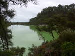 (191'157) - See und B�ume im Wai-O-Tapu Thermal Wonderland am 23.