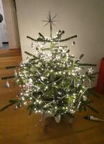 (283'396) - Weihnachtsbaum am 21. Dezember 2025 in Steffisburg