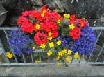 (145'988) - Blumenschmuck in G�schenen am 20.
